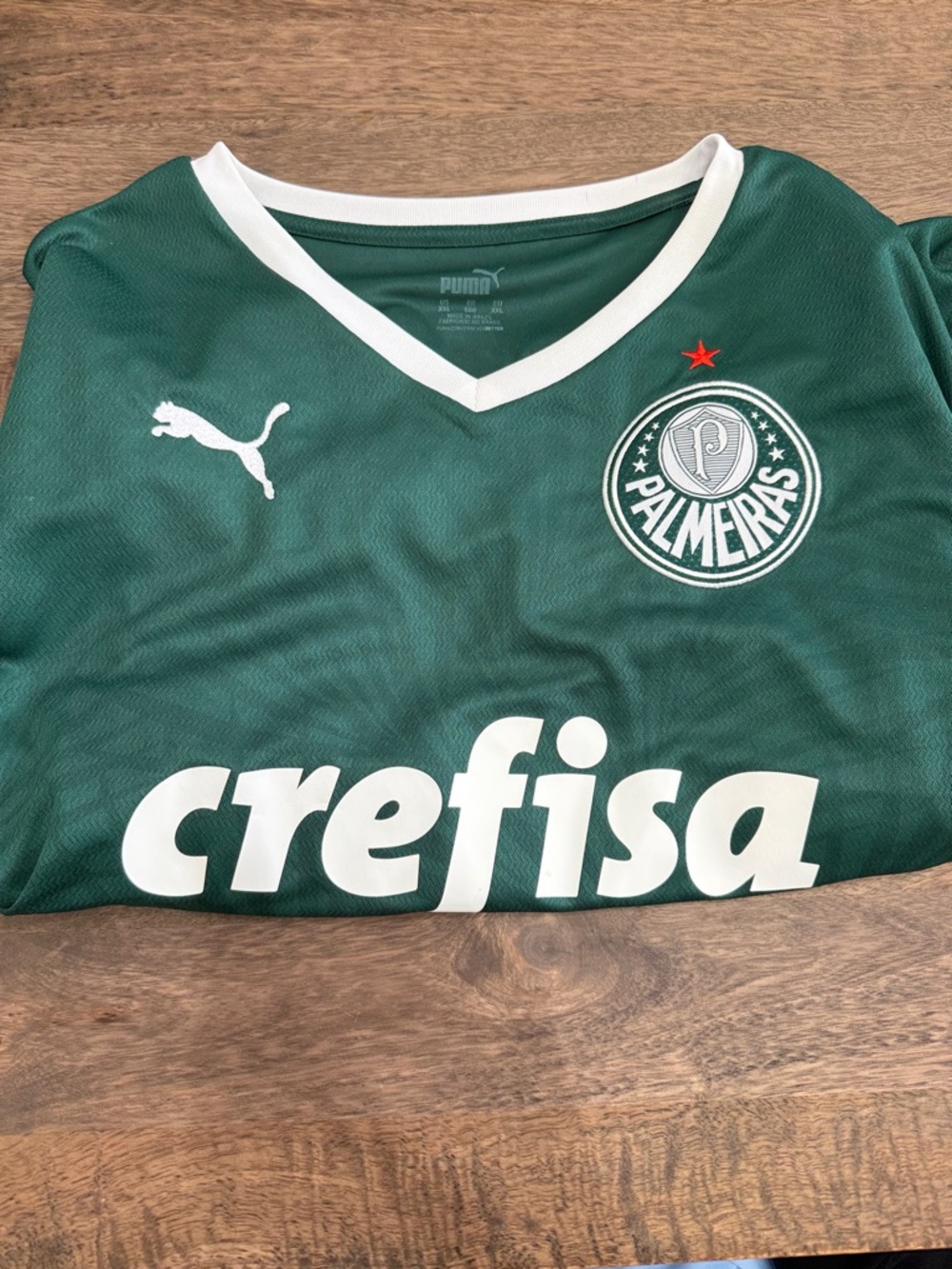 Puma Green men’s  Palmeiras Soccer Jersey with White Accents